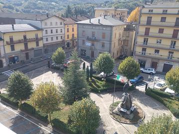Appartamento Centro Pieveplago