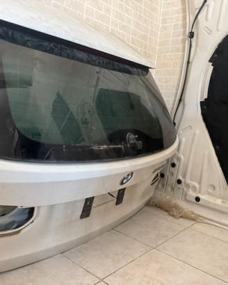 Musata + posteriore BMW F31  Touring