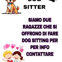 Dog Care