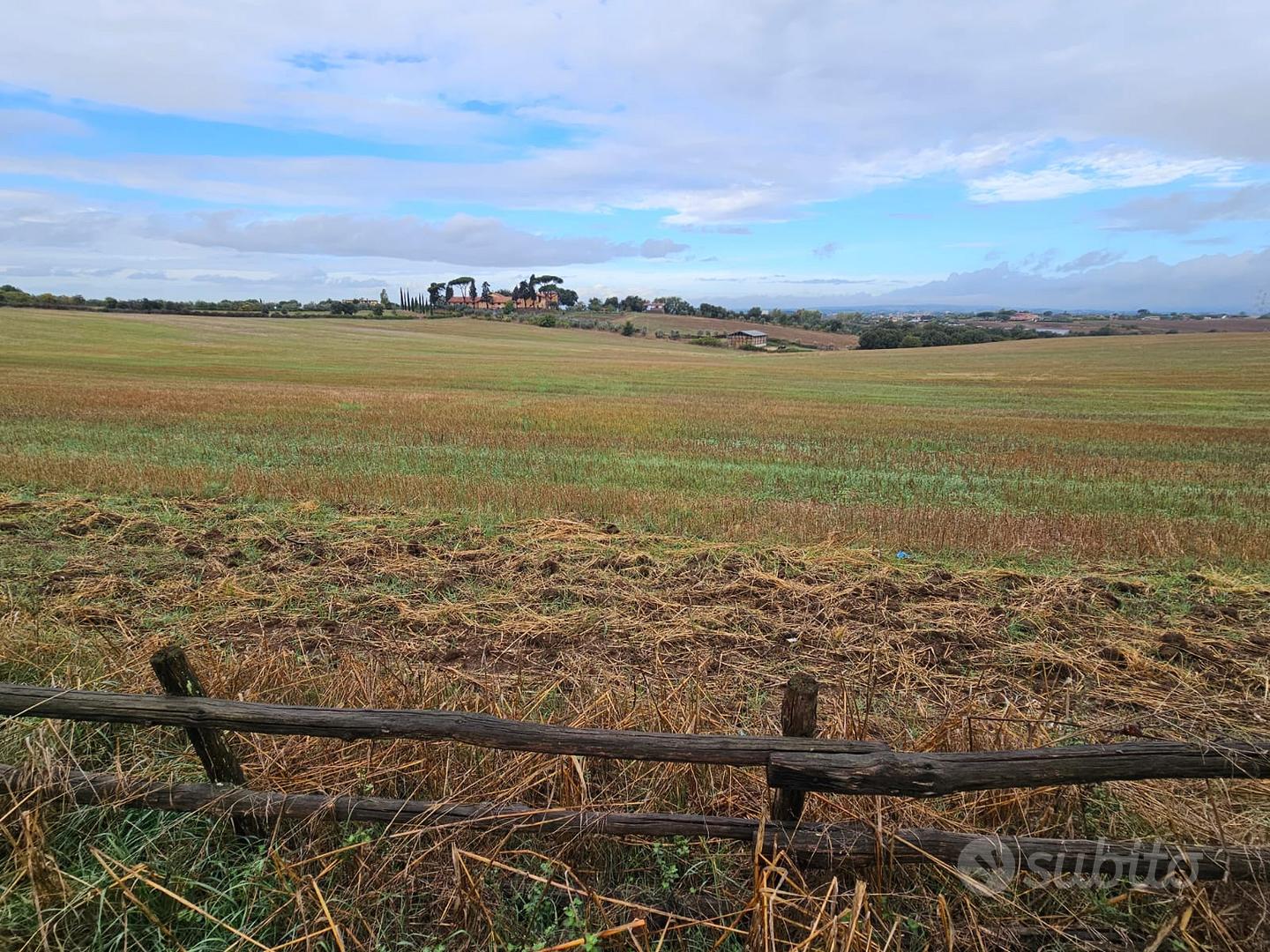 LOTTI DI TERRENO AGRICOLO - Vista 3