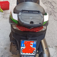 Kawasaki j300