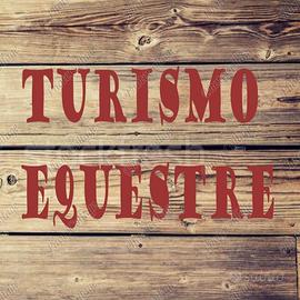 Centri turismo equestre