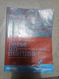 Libro di testo: forse un mattino