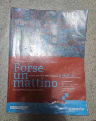 Libro di testo: forse un mattino