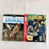 Libro di animali Disney + libro di animali Newton