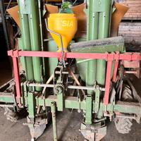 Semina patate pianta patate