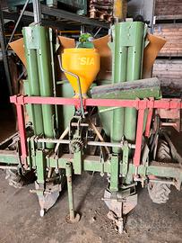 Semina patate pianta patate