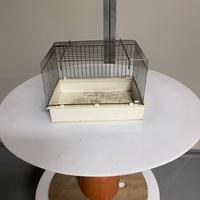 Vaschetta x volatili uccelli