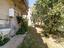 Immagine 13