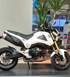 Honda MSX 125 PITBIKE