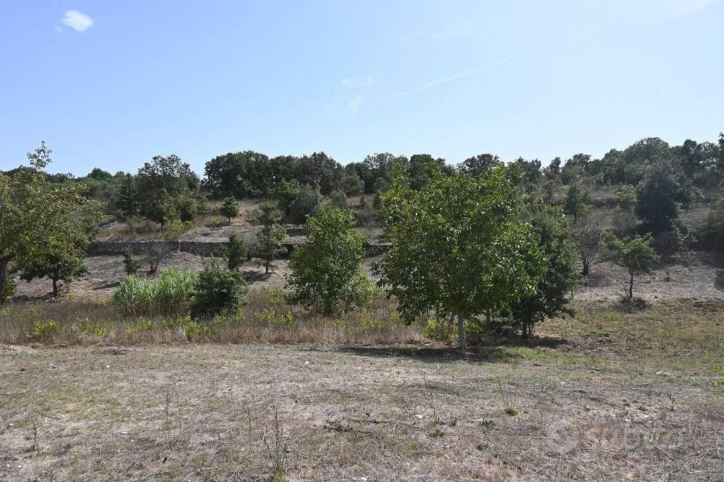 Terreno di 13800 m² a Alberobello - Altro