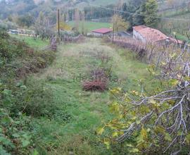 Terreno edificabile entroterra Rimini Morciano