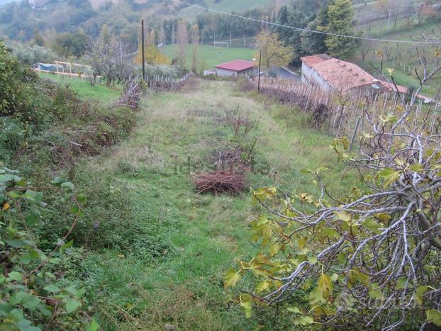 Terreno edificabile entroterra Rimini Morciano