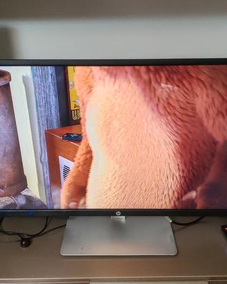 Monitor 32 pollici