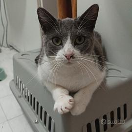 REBE sei uno splendore