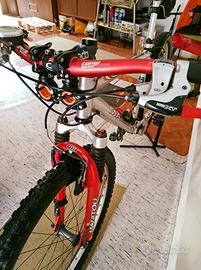 MOUNTAIN BIKE