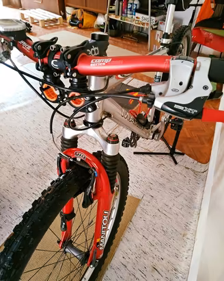 MOUNTAIN BIKE