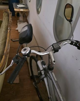 bicicletta carraro