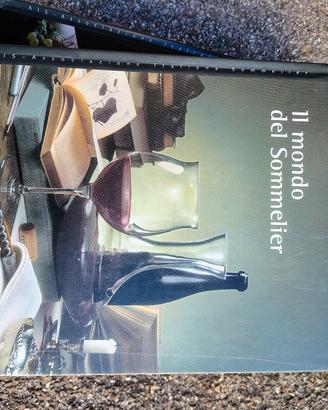 libri sommelier ais