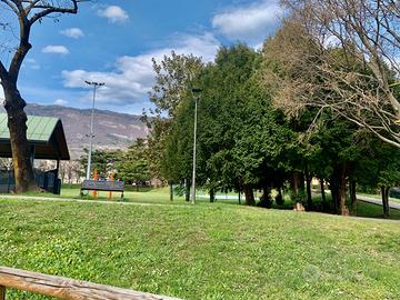 Rovereto bel due stanze ben esposto