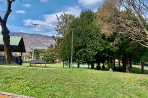 Rovereto bel due stanze ben esposto