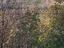 Immagine 10