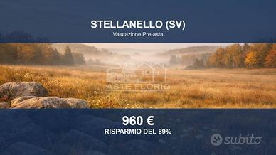 Immobile in asta di 5810 m² a Stellanello