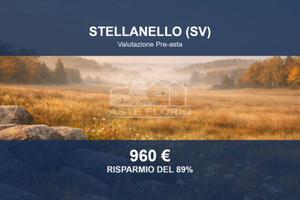 Immobile in asta di 5810 m² a Stellanello