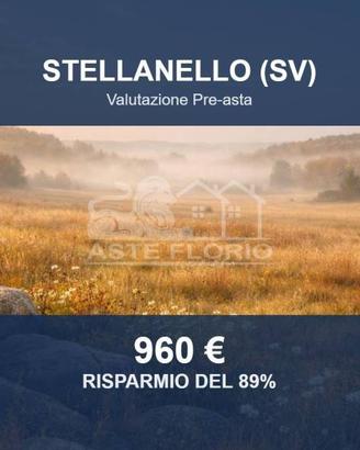 Immobile in asta di 5810 m² a Stellanello