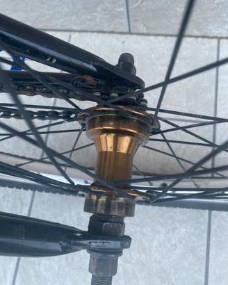 Bmx subrosa