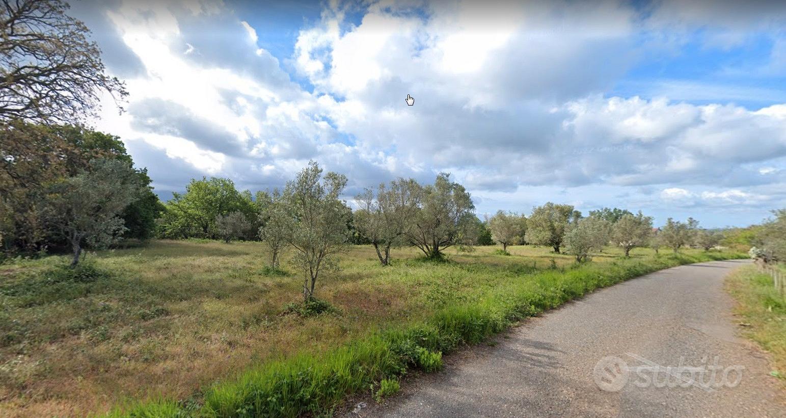 Terreno Agricolo di 10 Ettari Uliveto Sem.e Bosco - Vista 5