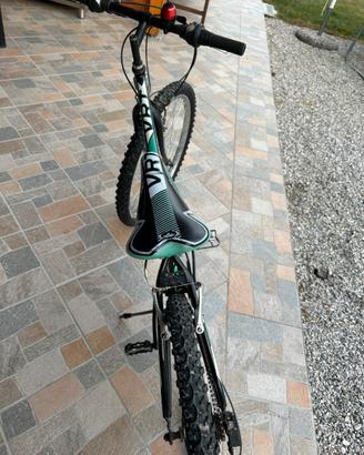 Bicicletta ragazzo 10-15
