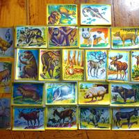 Figurine album ANIMALI FLASH 1980 ed. Lampo