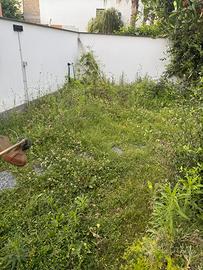 Giardinaggio, Potarura