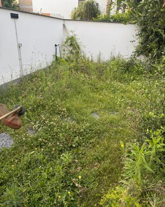 Giardinaggio, Potarura