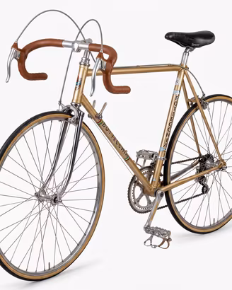 Bicicletta da corsa vintage campione del mondo
