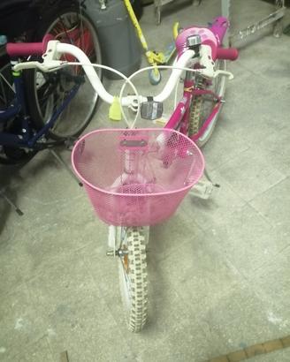 Bicicletta