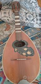 Mandola solista meazzi