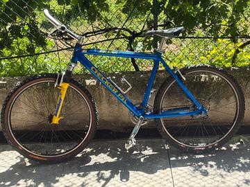 Bici da corsa