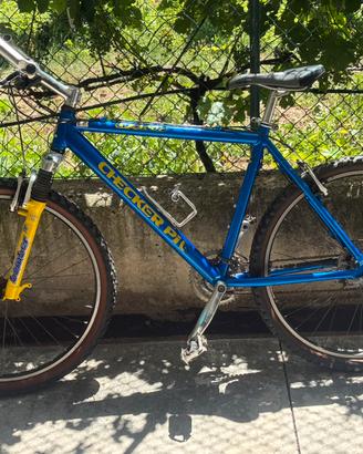 Bici da corsa