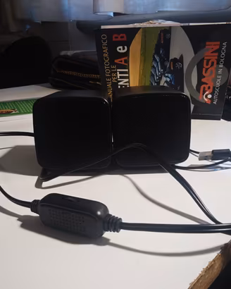 Coppia di Casse / Cassa Acustica per PC USB