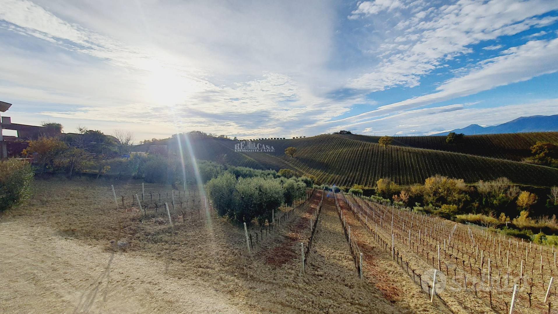 Terreno agricolo - Acquaviva Picena - Vista 4