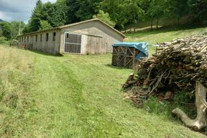 Terreno agricolo