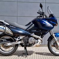 SUZUKI 650 FREEWIND