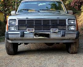 JEEP Cherokee XJ Wagoneer 2.5L AMC -ASI -Benz./GPL