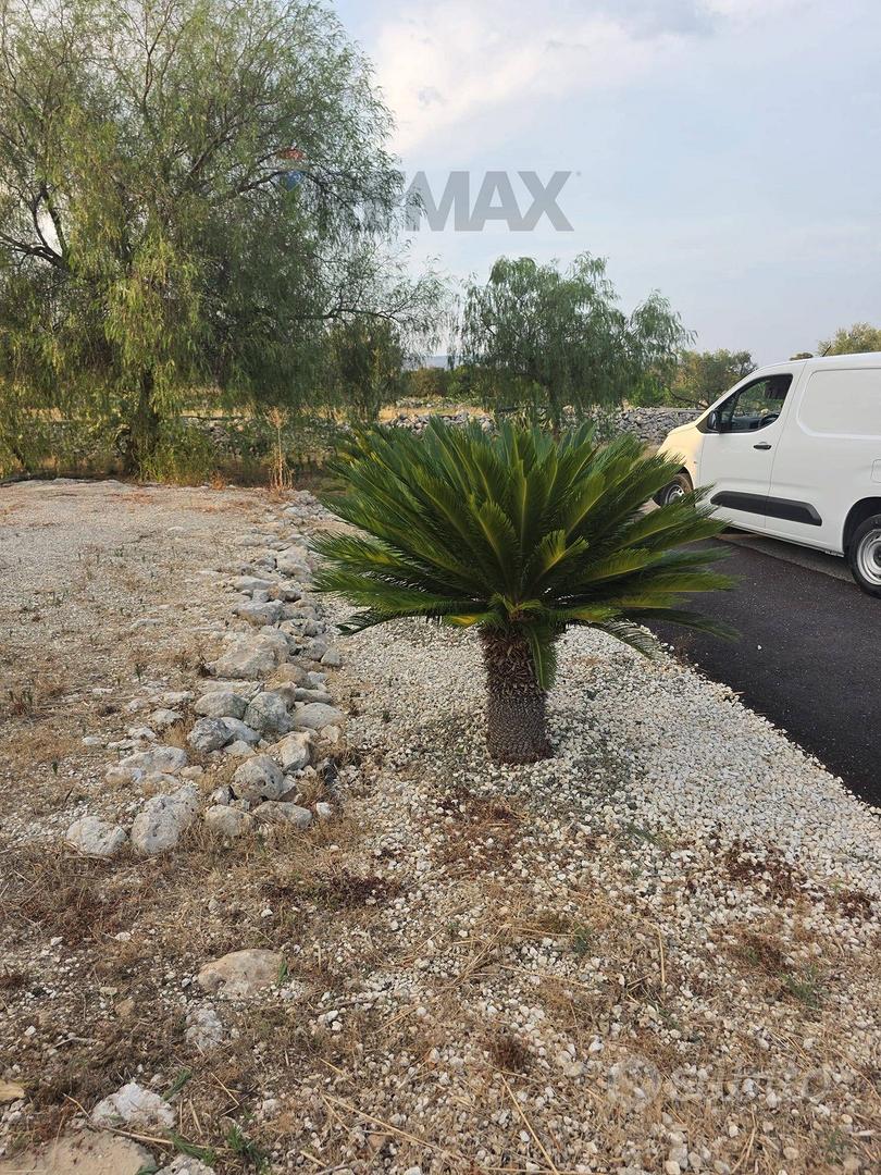 Terreno - Siracusa - Vista 5