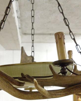 Vecchio ed unico lampadario con corna di Daino