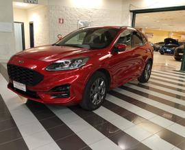 Ford Kuga 1.5 EcoBlue 120 CV 2WD ST-Line X 07 2020