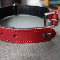 collare rosso hunter