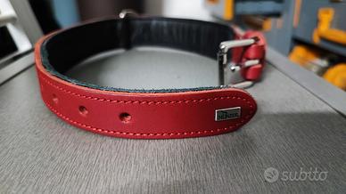 collare rosso hunter